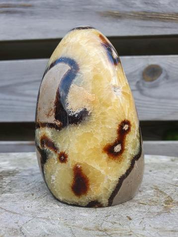 Halfruw septarie sculptuur 820 gram beschikbaar voor biedingen