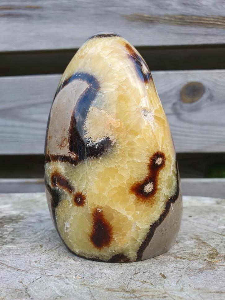 Halfruw septarie sculptuur 820 gram, Verzamelen, Mineralen en Fossielen, Ophalen of Verzenden