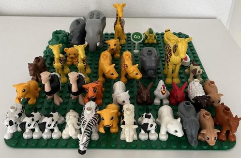 Grote verzameling duplo, Kinderen en Baby's, Speelgoed | Duplo en Lego, Gebruikt, Duplo, Ophalen