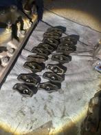 Tuimelaars en stoterstangen ford 302/289, Ophalen of Verzenden, Ford