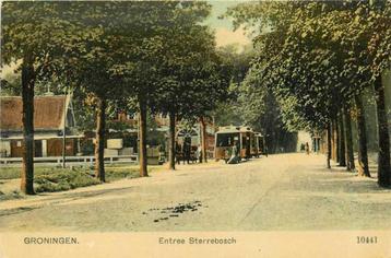 (300-096-015) Groningen Entree Sterrebosch beschikbaar voor biedingen