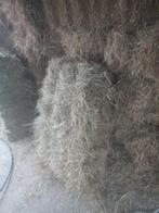 Hooibalen 20kg, Dieren en Toebehoren, Dierenvoeding, Ophalen