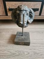 Brynxz ram majestic brown, Ophalen, Zo goed als nieuw