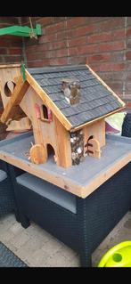 Mooi groot vogel voederhuis, Ophalen, Nieuw