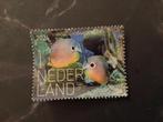 Nederland 2024 de onderwaterw. Bonaire 4ogige koraalvlinders, Postzegels en Munten, Postzegels | Nederland, Verzenden, Na 1940