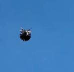 Gezocht Nikolajewer hoogvlieger, Meerdere dieren