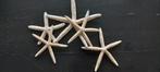 Zeesterren zes stuksecht gedroogd- Starfishes six pieces, Ophalen of Verzenden, Zo goed als nieuw