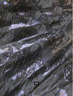 MaliParmi - Prachtige luxe rok maat 38 & 40 - Nieuw €495, Kleding | Dames, Maat 38/40 (M), Zwart, Nieuw, Ophalen of Verzenden