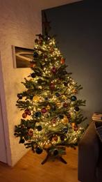 Gratis Kerstboom 200cm - Ede Rietkampen, Ophalen of Verzenden, Gebruikt, Binnen