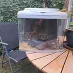 Aquarium Superfish Aqua Panorama 60 liter Zilver, Dieren en Toebehoren, Vissen | Aquaria en Toebehoren, Ophalen, Zo goed als nieuw