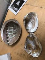 Mooie decoratie schelpen, Ophalen, Zo goed als nieuw