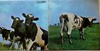 PFC Pink Floyd collectie 10 albums €225 ook los te koop, Ophalen of Verzenden, Gebruikt, 12 inch, Progressive