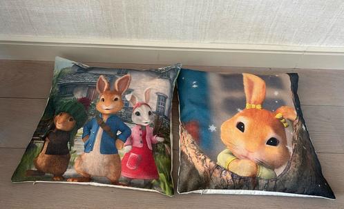 2 sier kussens Pieter Konijn, Huis en Inrichting, Woonaccessoires | Kussens, Zo goed als nieuw, Overige kleuren, Vierkant, Ophalen of Verzenden