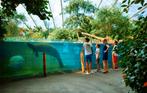 Twee tickets voor Burger's Zoo te Arnhem, Twee personen, Ticket of Toegangskaart