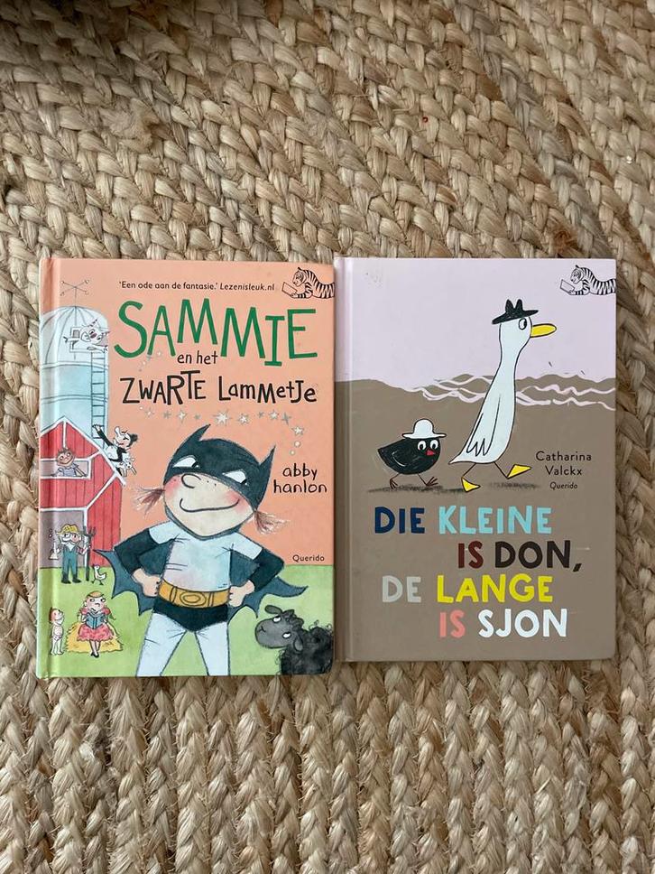 Tijgerlezen Boeken - Sammie & De Kleine is Don, Boeken, Kinderboeken | Jeugd | onder 10 jaar, Gelezen, Fictie algemeen, Ophalen