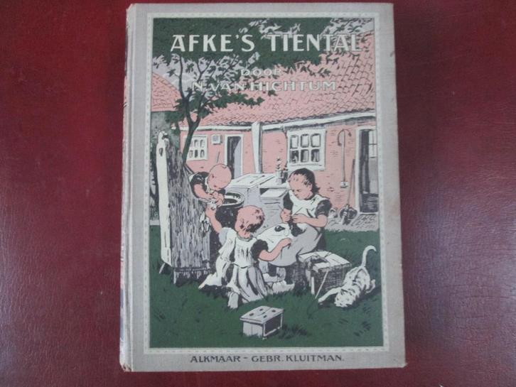Afke's Tiental, door N. van Hichtum, Boeken, Kinderboeken | Jeugd | 10 tot 12 jaar, Zo goed als nieuw, Fictie, Ophalen of Verzenden