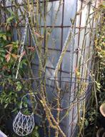 Diverse windlichten kaarsen lantaarn waxinelichtjes, Ophalen of Verzenden, Gebruikt