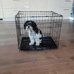 Hondenbench, Dieren en Toebehoren, Ophalen, Gebruikt