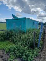 Oude keet, Dieren en Toebehoren, Pluimvee, Kip