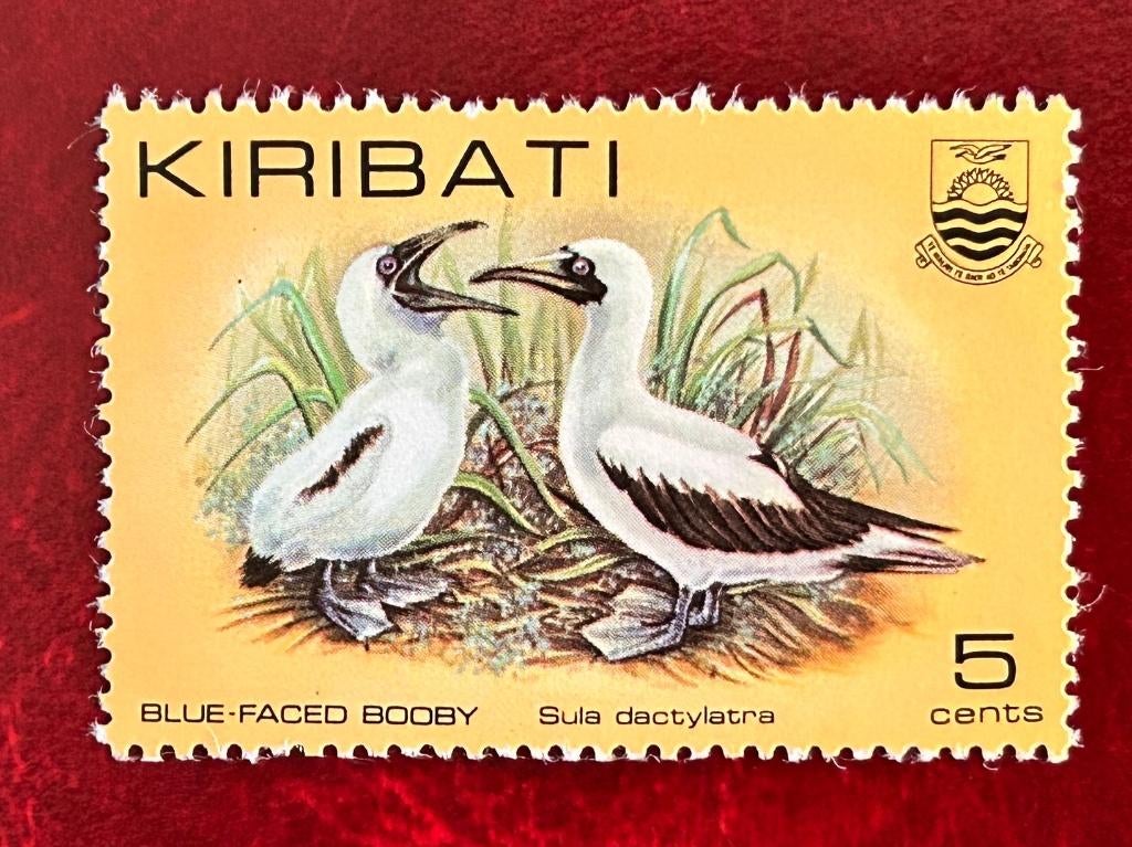 Maskergent - kiribati - 1982, Verzenden, Postfris, Dier of Natuur