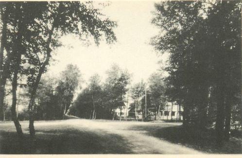 (387-250-019) Ermelo Viersprong Julianalaan, Verzamelen, Ansichtkaarten | Nederland, Gelderland, Verzenden