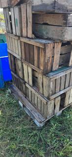 Veilige kisten fruit kisten, Doe-het-zelf en Verbouw, Kratten en Dozen, Gebruikt, 40 tot 60 cm, 50 tot 75 cm, Ophalen of Verzenden