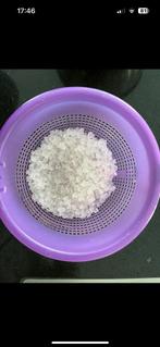 Biologische water kefir korrels, Diversen, Levensmiddelen, Ophalen