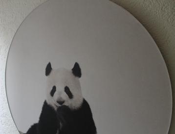 wandcirkel panda beschikbaar voor biedingen