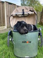Fantastische elektrische hondenbakfiets van Nihola, Fietsen en Brommers, Fietsen | Bakfietsen, Overige merken, 4 kinderen of meer