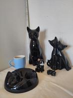 Zwarte katten, Ophalen of Verzenden, Zo goed als nieuw, Dier
