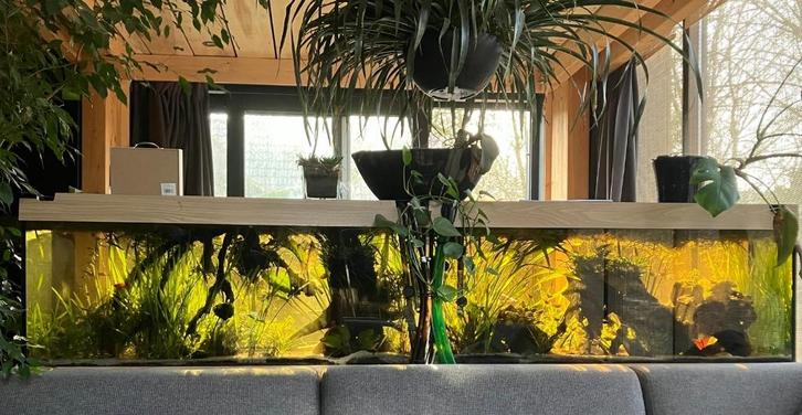 2 stuks Aquarium Juwel rio 240 zeer compleet, Dieren en Toebehoren, Vissen | Aquaria en Toebehoren, Zo goed als nieuw, Gevuld zoetwateraquarium