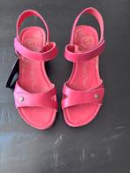 Nieuw in doos Panama Jack sandalen fuchsia maat 39, Nieuw, Panama Jack, Roze, Sandalen of Muiltjes