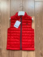 Moyoral bodywarmer rood maat 98 nieuw, Mayoral, Nieuw, Ophalen of Verzenden, Jongen