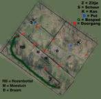 Paddock Paradise in Leende NB, Weidegang, 2 of 3 paarden of pony's