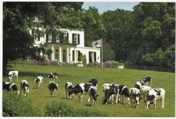Ansicht Rheden (Rode Kruis) Hotel De Valkenberg. beschikbaar voor biedingen
