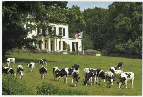 Ansicht Rheden (Rode Kruis) Hotel De Valkenberg., Verzamelen, Ansichtkaarten | Nederland, Gelopen, Gelderland, Verzenden