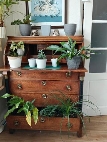 Antieke Secretaire Bureau - Prachtstuk! beschikbaar voor biedingen