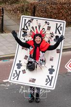 Mooie Loopgroep Carnaval, Ophalen of Verzenden, Zo goed als nieuw, Carnaval