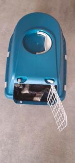 Reismand kittens/kleine katten., Ophalen