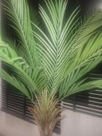 Kunst palm 1.70 hoog, Ophalen of Verzenden