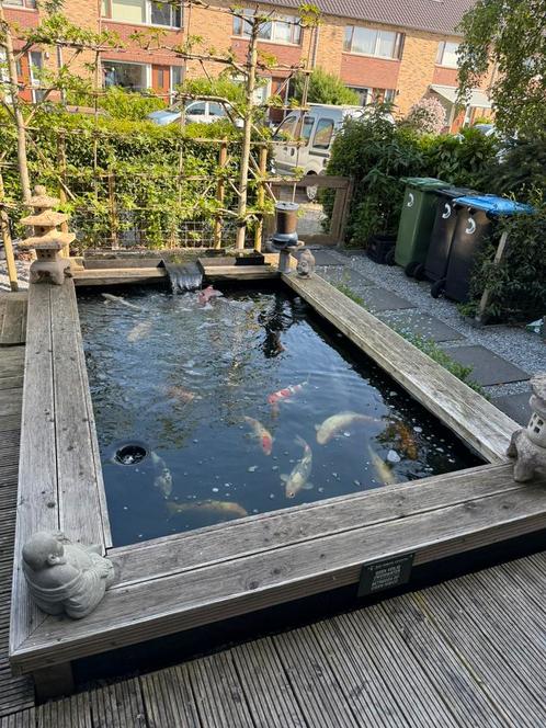 HPDE Complete vijver 300x200x150 (BxHxD) incl koi toebehoren, Tuin en Terras, Vijvers, Gebruikt, Ophalen