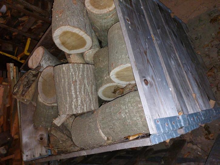 Haardhout, meest eiken en beuken. 3 m3 gezaagd plus stammen, Tuin en Terras, Haardhout, Ophalen
