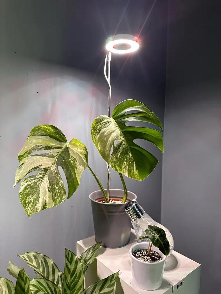 Eerste Hulp voor kamerplanten!  LED Groeilamp Kamerplanten, Huis en Inrichting, Lampen | Tafellampen, Zo goed als nieuw, Minder dan 50 cm