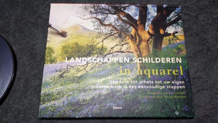 Landschappen schilderen in aquarel, Boeken, Hobby en Vrije tijd, Zo goed als nieuw, Tekenen en Schilderen, Ophalen of Verzenden