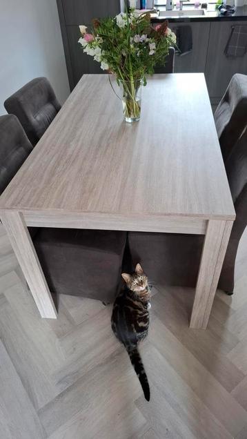 Mooie Eettafel lichtgrijs/bruin - 160x90 cm beschikbaar voor biedingen