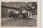 Klederdracht Zuid-Beveland hofstede, Verzenden, 1940 tot 1960, Ongelopen, Zeeland