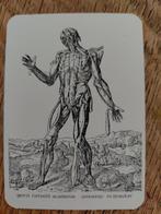 kwartetspel, Verzamelen, Speelkaarten, Jokers en Kwartetten, Ophalen of Verzenden, Zo goed als nieuw, Kwartet(ten)