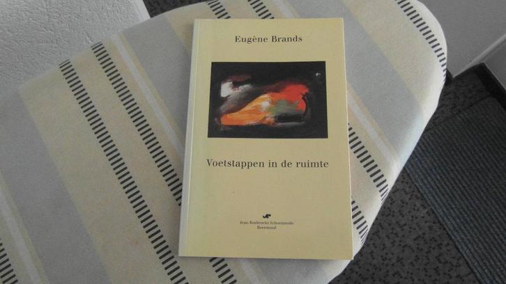 EUGENE BRANDS ; zeldzaam boek, niet in de boekwinkel te koop, Boeken, Kunst en Cultuur | Beeldend, Zo goed als nieuw, Schilder- en Tekenkunst