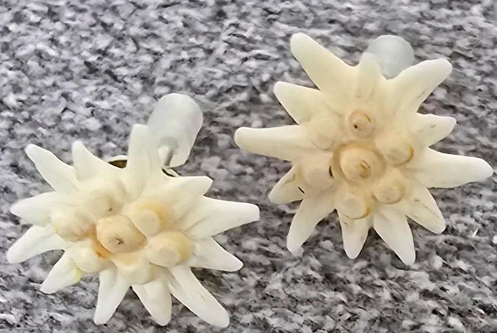 Trachten oorbellen edelweis handgemaakt uit Hirshorn, Sieraden, Tassen en Uiterlijk, Oorbellen, Zo goed als nieuw, Knopjes of Stekers