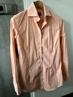 Cavallaro Napoli blouse maat 42 L, Overige kleuren, Nieuw, Ophalen of Verzenden, Cavallaro Napoli